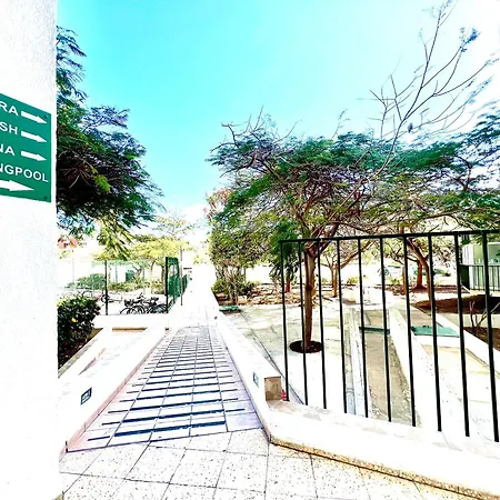 1 Bedroom In Americas! Playa de las Americas (Tenerife)