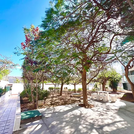 1 Bedroom In Americas! * Playa de las Americas (Tenerife)